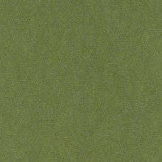 Kunin Felt - Olive